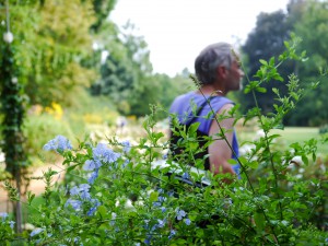 Studie in Blau und Grau :-)